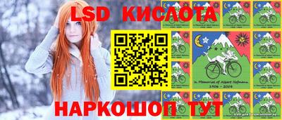 мяу мяу мука Беслан